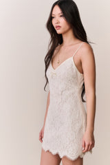 Petaline Lace Mini Dress | Loveshackfancy online