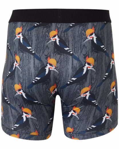 Cinch 6" Boxer Brief